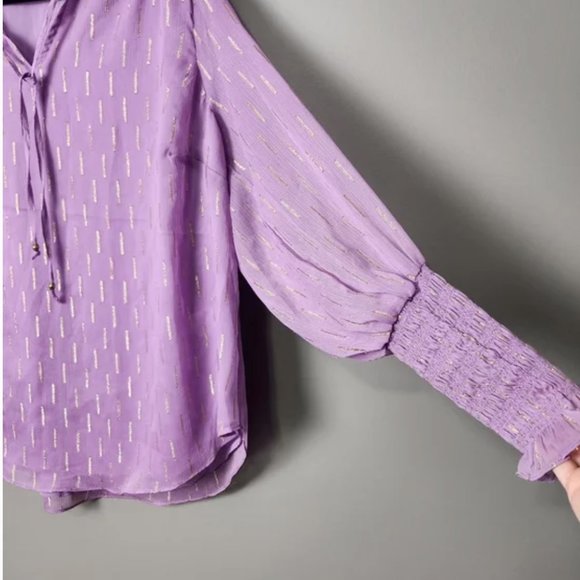 Anthropologie Maison d'Amélie Blouse Size 2x - Picture 2 of 4